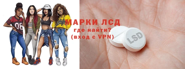 прущие грибы Лабытнанги