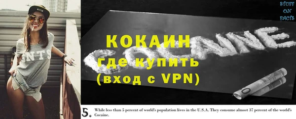 прущие грибы Лабытнанги