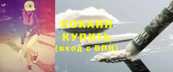 прущие грибы Лабытнанги