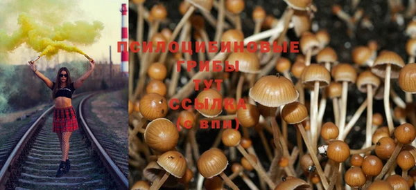 спайс Кукмор